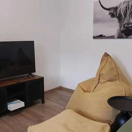 Iv With A Private Garage *