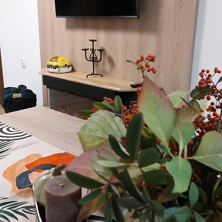 Iv With A Private Garage Apartamento