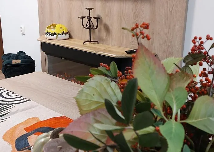 Iv With A Private Garage Appartamento